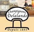 Champignons Delalande